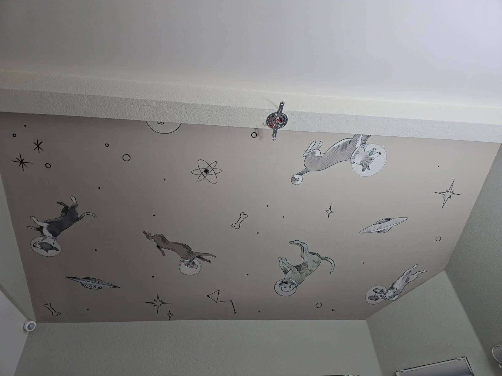 Pattern wallpaper dining room installation in Love Field, Dallas